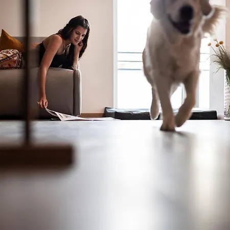 Sambucus Apartments -Premium Apartments For You And Your Dog Lana Exterior foto
