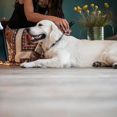 Sambucus Apartments -Premium Apartments For You And Your Dog Lana Exterior foto