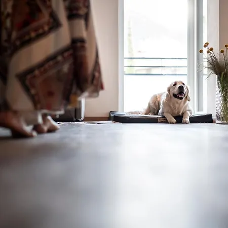 Sambucus Apartments -Premium Apartments For You And Your Dog Lana Exterior foto