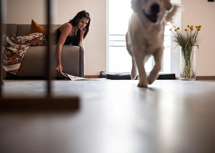 Sambucus Apartments -Premium Apartments For You And Your Dog