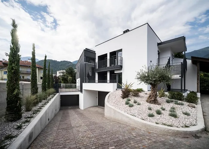 Sambucus Apartments -Premium Apartments For You And Your Dog