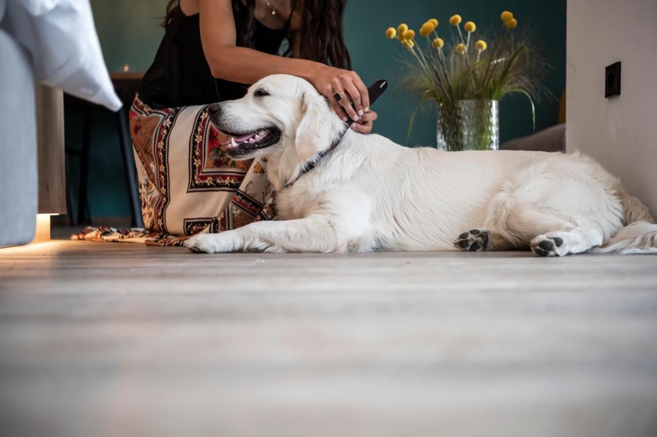Sambucus -premium For And Your Dog Lana