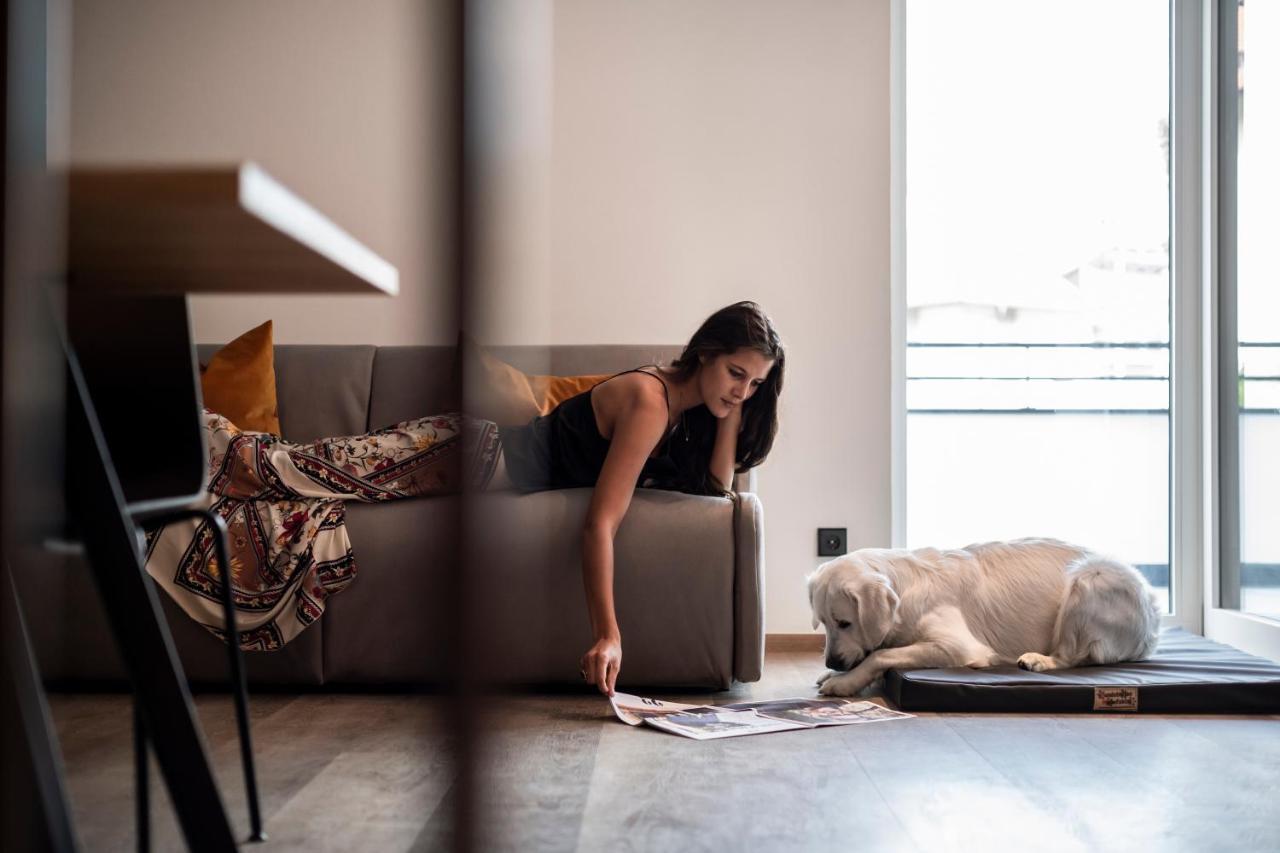 Sambucus -premium For And Your Dog Apartment Lana