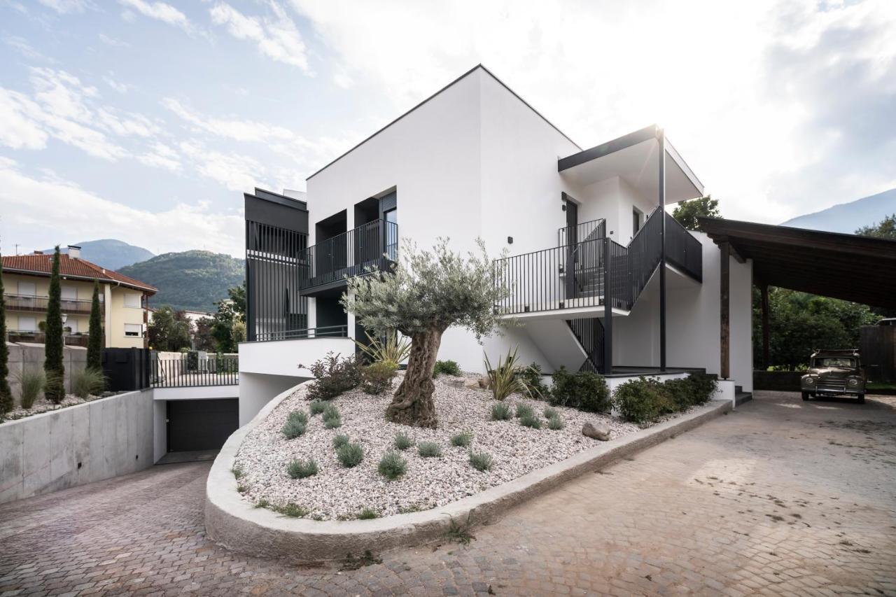 Apartment Sambucus -premium For And Your Dog Lana