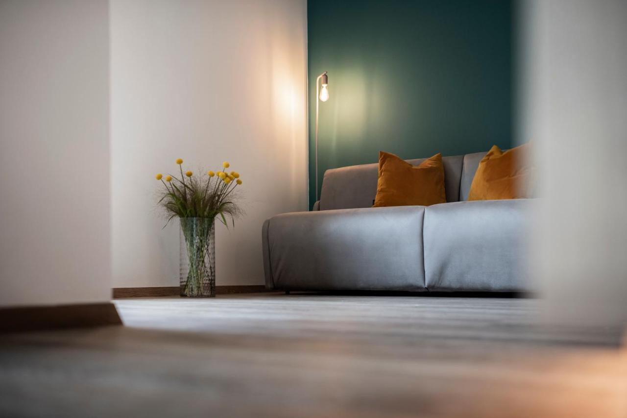 Sambucus -premium For And Your Dog Apartment *