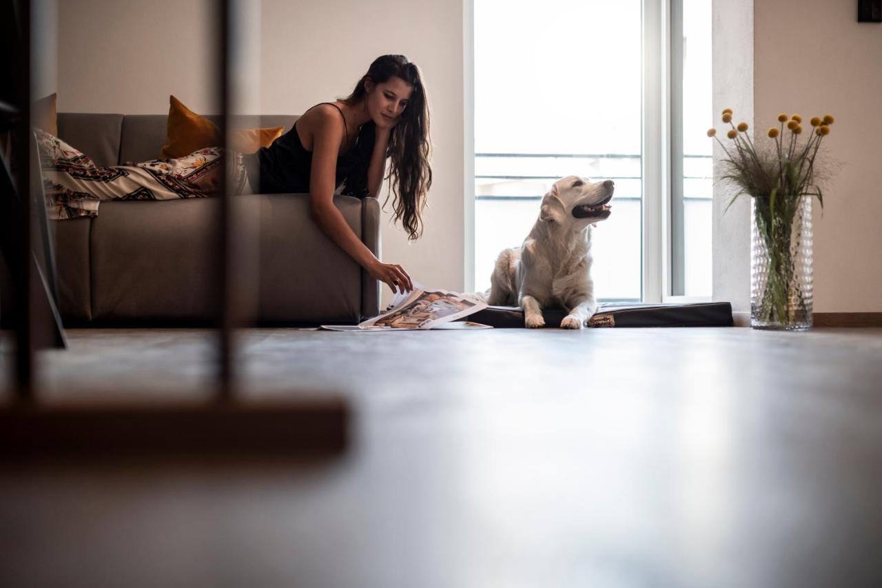 Apartment Sambucus -premium For And Your Dog *